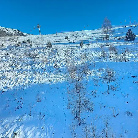 アパート 1650 Mountain View - Snow Front 2s01 *